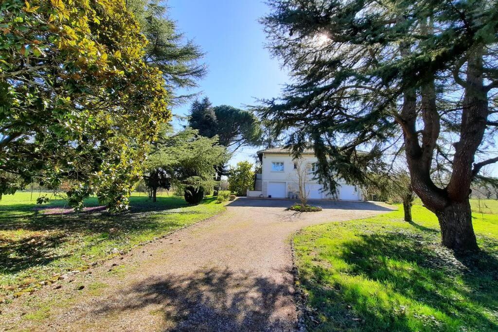 La Maison De Lili Colayrac-Saint-Cirq Eksteriør bilde