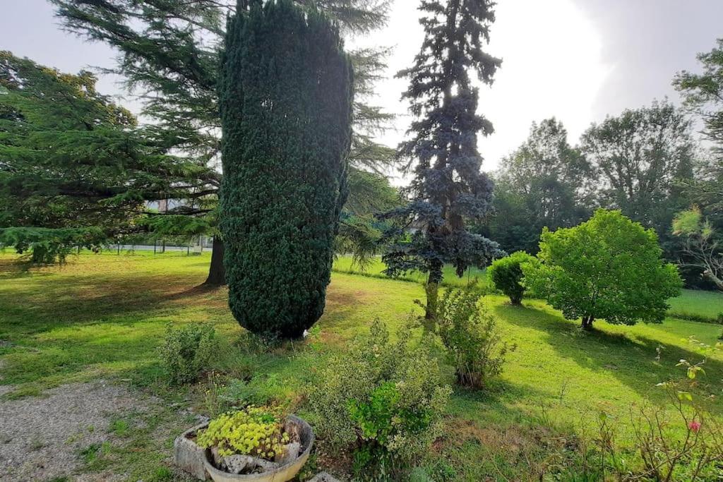 La Maison De Lili Colayrac-Saint-Cirq Eksteriør bilde