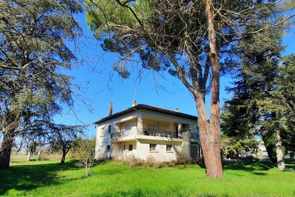 La Maison De Lili Colayrac-Saint-Cirq Eksteriør bilde