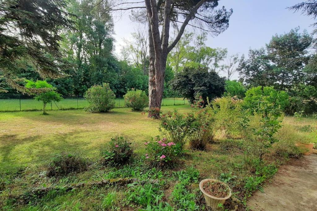 La Maison De Lili Colayrac-Saint-Cirq Eksteriør bilde