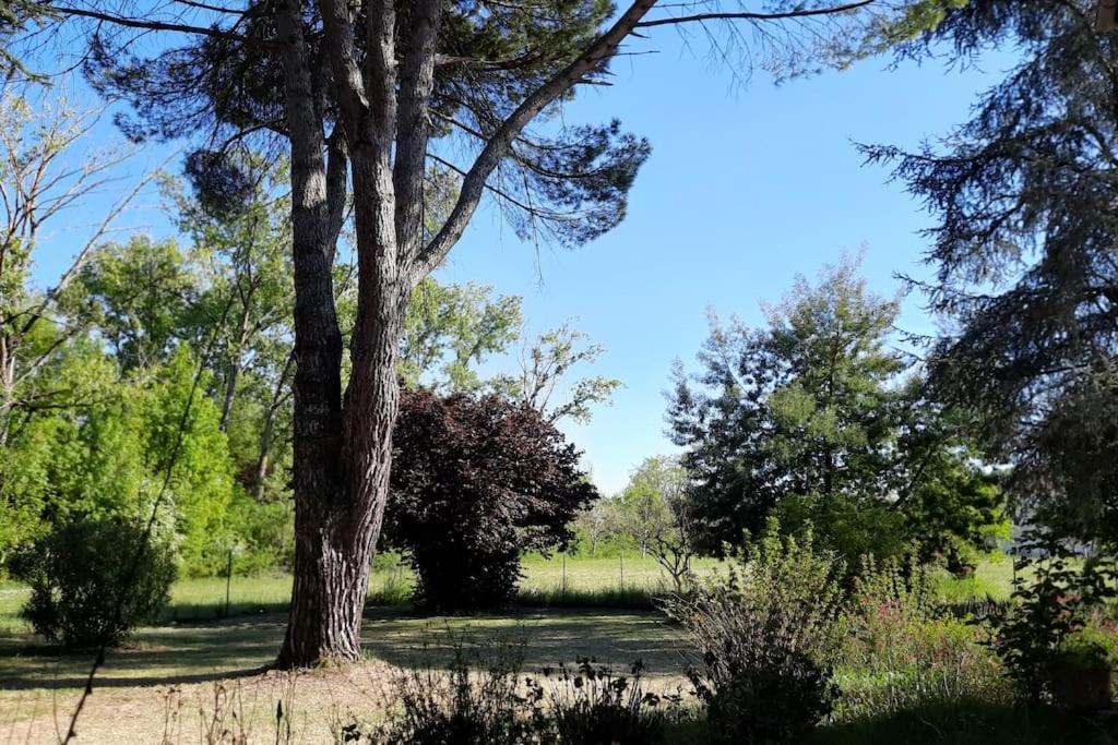La Maison De Lili Colayrac-Saint-Cirq Eksteriør bilde